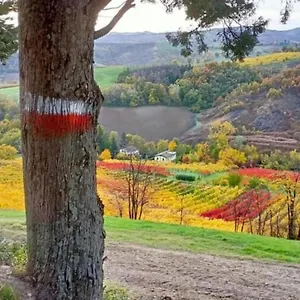  Ostello Casa Del Viandante Borgo Dei Sassi Di Roccamalatina Italia
